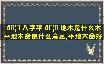 🦅 八字平 🦅 地木是什么木（平地木命是什么意思,平地木命好不好）